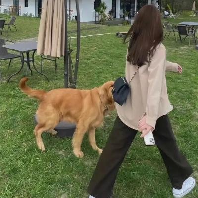 蝙蝠侠与哈莉·奎恩